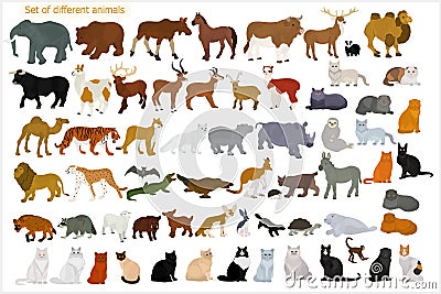 Set of different animals. Wild animals. Domestic cats. Vector Illustration